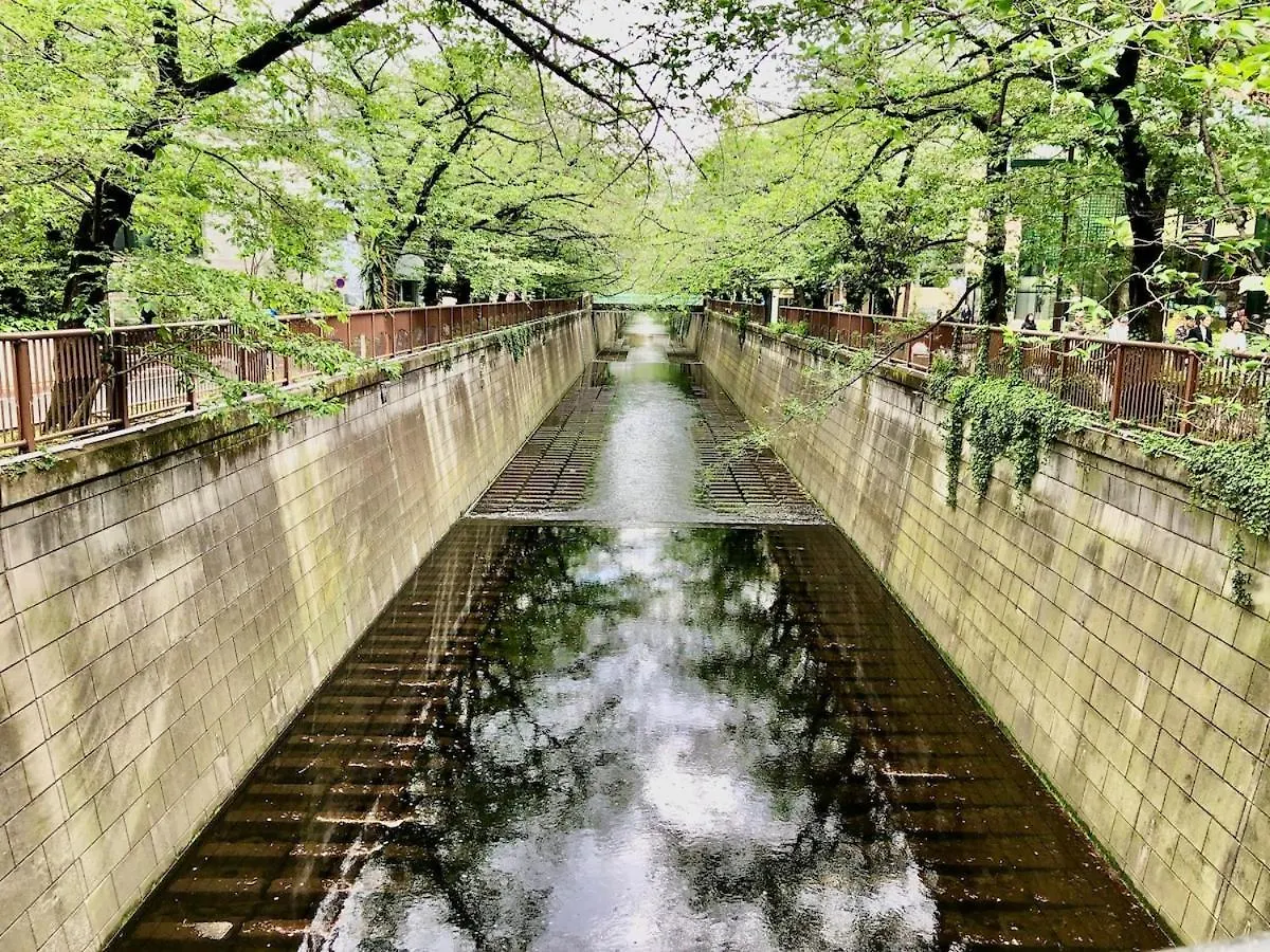 A Cosy Daikanyama Stay At The Anime Sanctuary Tokyo